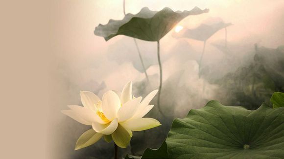 佛山黄大仙祠在哪里