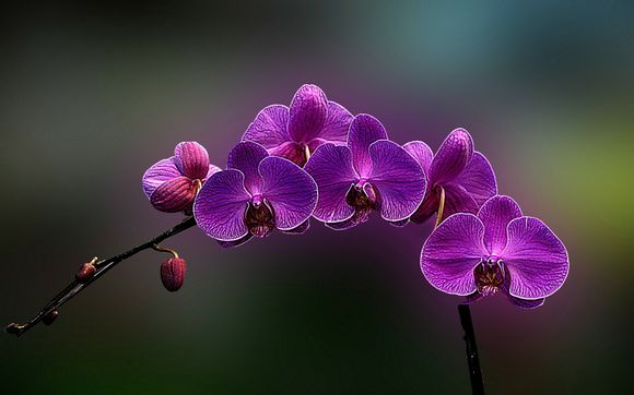 绵阳一日游去哪里好玩